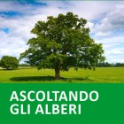 alberi